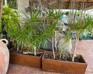 Three in total large heavy rectangle planters with established plants define seating areas 