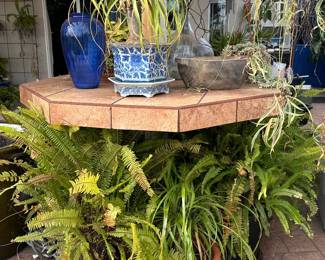 Um Hmm, we got plants here people!