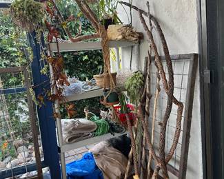 Chollas removed from pot, clear plastic wind protection panels, metal grid in wood frames