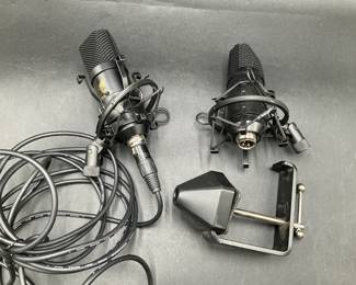 Condensing Microphone