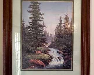 Framed Deer in Wilderness