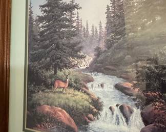 Framed Deer in Wilderness