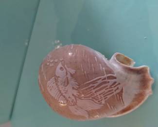 Betta fish hand carved sea shell