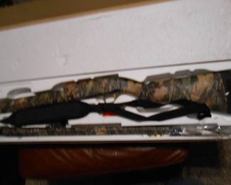 Browning 12 ga, Gold Hunter, 3 1/2"