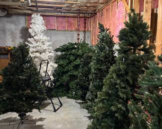 12, 9, 7 and smaller Christmas trees