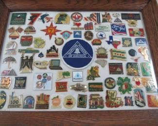 Framed Collectible Pins