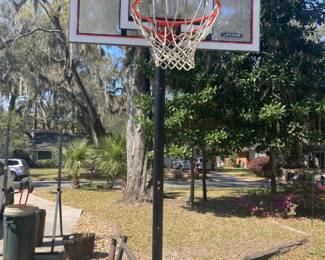 Lifetime Basketball Goal