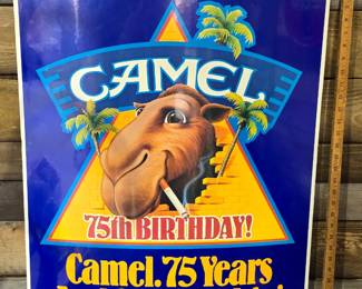 Camel poster