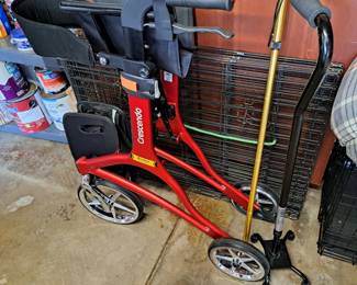 FOLDING WALKER, CANE