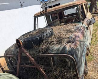 International Scout Project 