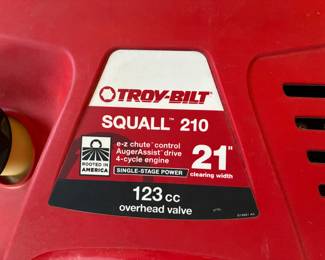 Troy Bilt Snow Blower