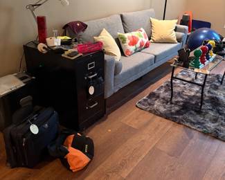 Gray MCM style sofa. Iron and glass narrow coffee table. Shag gray area rug. Paper shredder. File cabinet. Misc. Decor  