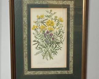 Vintage Botanical Print