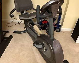 Cybex CR 350 Recumbent Exercise Bike