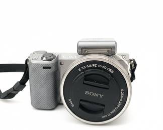 Sony NEXT Mirrorless Digital Camera