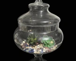 Glass Apothecary Jar Terrarium with Faux Succulents
