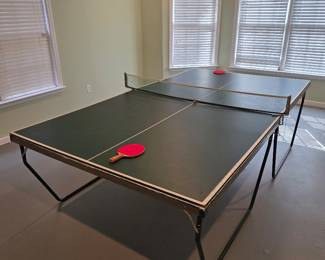 Ping Pong Table