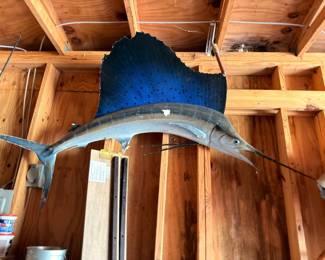 Mounted marlin sailfish trophy, taxidermy fish mount