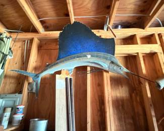 Mounted marlin sailfish trophy taxidermy wall mount