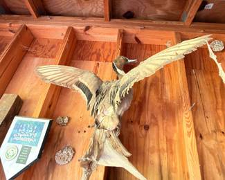 Hand carved wooden eagle sculpture folk art