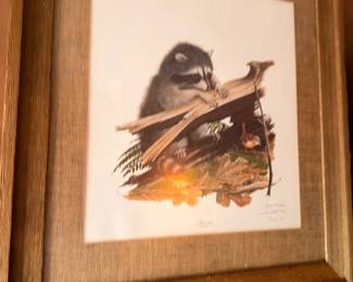 Framed wildlife raccoon art print