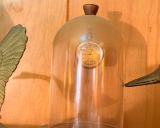 Glass display dome cloche on wooden base
