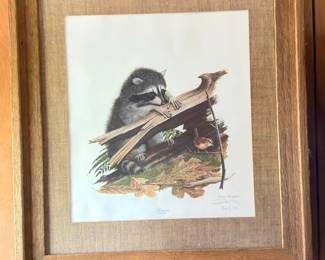 Framed Audubon-style bird print, wood frame