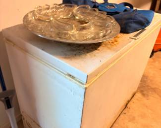 Chest freezer, glass divided serving trays
