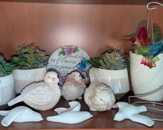 KN201Succulents  Birds