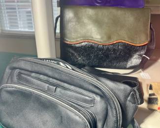 Fanny pack and various handbags