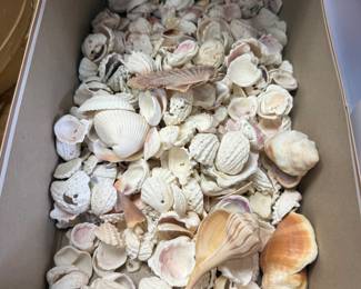Shells