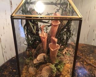 Faux terrarium