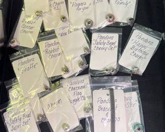 Lots of great Pandora charms!