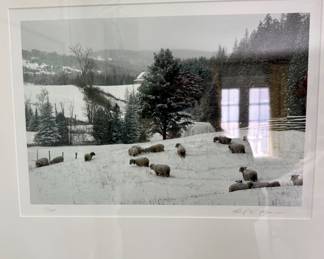 Signed Sheep Print
