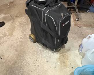 . . . another high-end bowling bag and balls