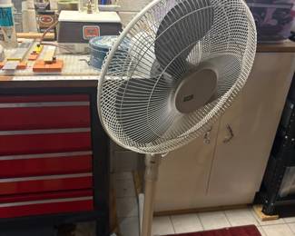 . . . standing fan