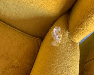 #205	yellow wing back chairs as is 	 $20.00  #206	yellow wing back chairs as is 	 $20.00 