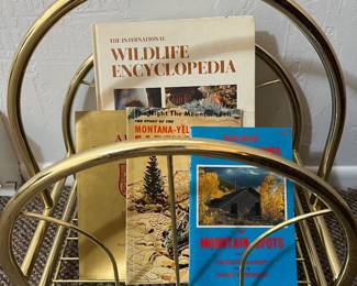 Magazine rack, books