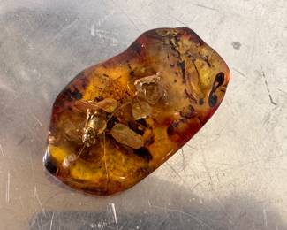 Very large amber pendant with botanicals and bug