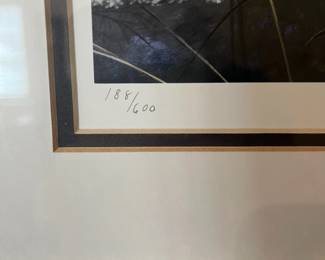 Rob Stine Signed Artwork Numbered 188/600