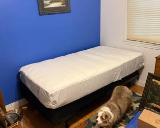 twin mattress $50