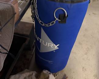 punching bag $65
