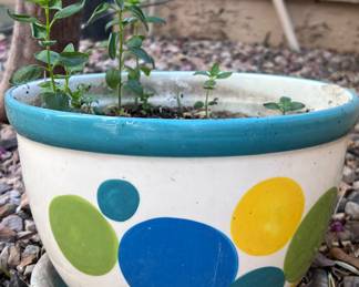 Flower Pot