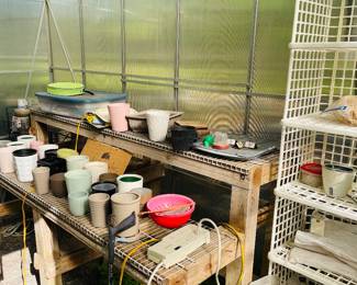 Inside the greenhouse 