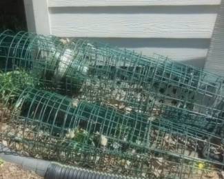 vegetable plant stands