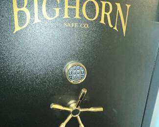 LARGE BIGHORN GUN SAFE