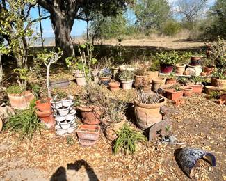 LOTS OF POTS & PLANTERS FOR SALE OUTSIDE