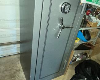 SENTINEL GUN SAFE