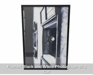 Framed Black and White Photograph of a Cat