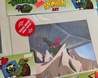 Ninja Turtles Animation Arts